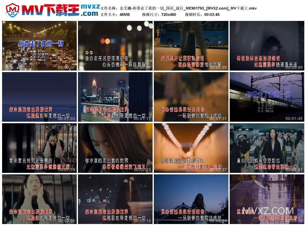 金艾娜-你带走了我的一切_国语_流行_ME901793